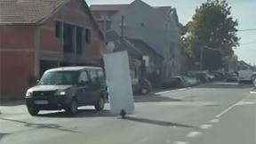 čovek vozi vrata na trotinetu kroz Surcin (3) copy.jpg