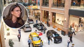 Danijela Stojšin Galerija Automobila.jpg