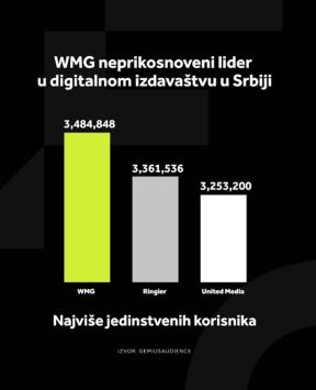 grafikoni wmg (3).jpg