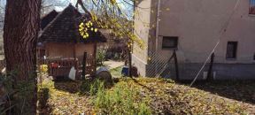 Ubistvo kod Babušnice, Babušnica, ubistvo