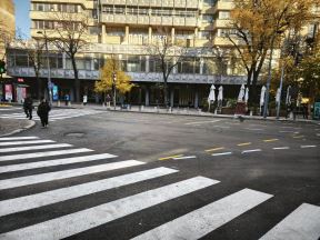 Nušićeva dvosmerna ulica (4) copy.jpg