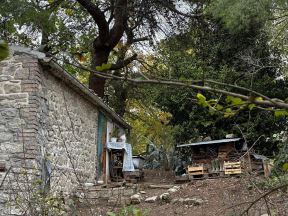 Sud u Italiji oduzeo decu roditeljima jer žive u šumi