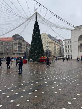 Temišvar advent (2).jpg