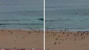Pucnjava na plaži Bondi u Sidneju u Australiji