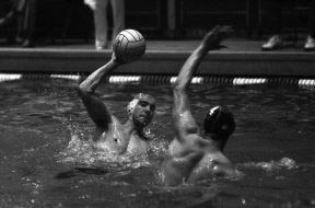 19910323npTucak3.jpg