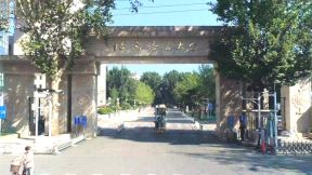 123.jpg
