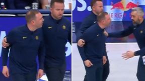 Dejvid Adelman u svađi sa sudijama