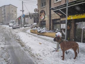 sneg beograd (2).jpg