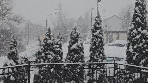 Sneg na Zlatiboru 7.jpg