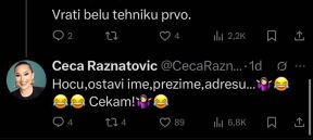 Ceca Ražnatović se svađa sa hejterima na Tviteru (2).jpg