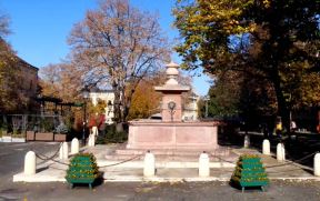 Odmor za Sretenje u Sremskim Karlovcima (3).jpg
