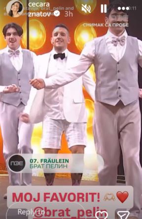 Ceca Ražnatović PZE Brat Pelin 5.jpg