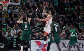 Crvena Zvezda - Panatinaikos (3).jpg