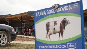 Moba u Lučanima (3).jpg