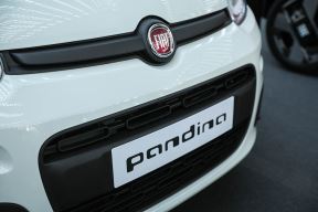 Pandino (5).jpg
