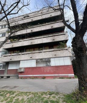 slađana4.jpg