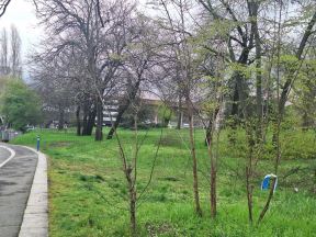Mesto napada na ženu u Humskoj ulici (4).jpg