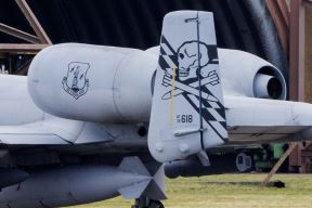10 Warthog (2).jpg