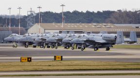 10 Warthog (3).jpg