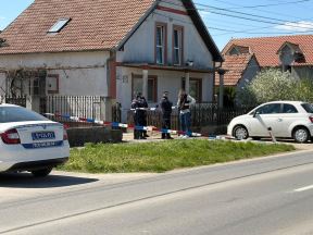 Ubistvo u Surčinu