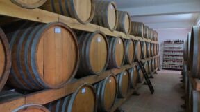 rakija šljiva (3).jpg