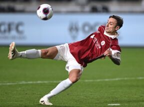 Dimitar Berbatov na utakmici Junajteda