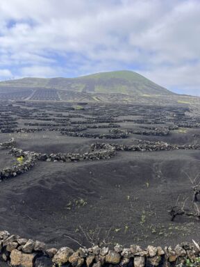 Lanzarote ostrvo (5).jpg