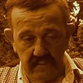 Dušan Vujisić
