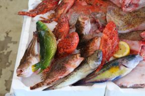 Sardinija