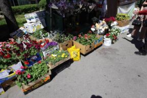 tragedija na kanarevom brdu (4).jpg
