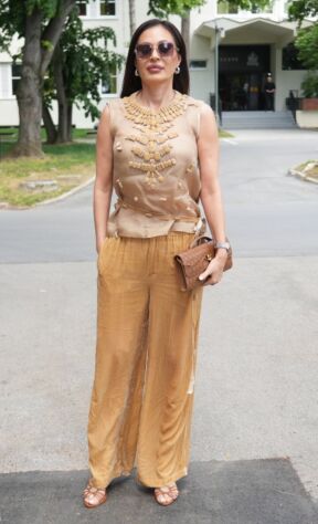 Ceca Ražnatović