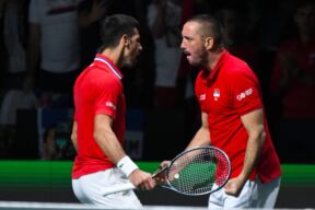 Novak Đoković i Viktor Troicki na meču Dejvis kupa