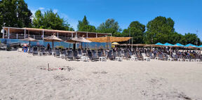 Štrand u Novom Sadu - jedna od najlepših gradskih plaža (4).jpg
