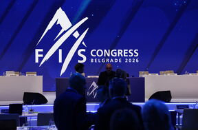 FIS (1).png