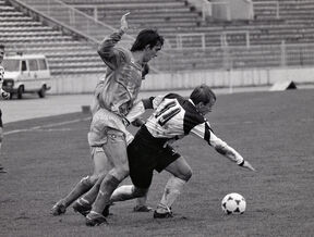 Gordan Vidovic (4).jpg