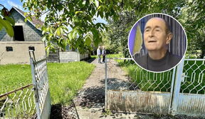 Dobrivoje Topalović kuća