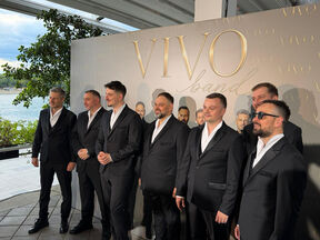 Vivo bend (3).jpg