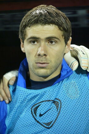 Ivan Ergić bivši srpski fudbaler