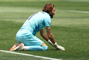 Alireza Beiranvand3.jpg