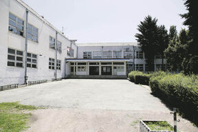 Ceca Ražnatović - kuća u Žitorađi (4).jpg