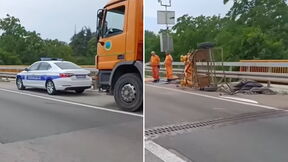 Nezgoda na auto-putu Beograd-NS.png