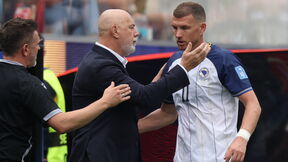 Sergej Barbarez i Edin Džeko u raspravi na utakmici BiH
