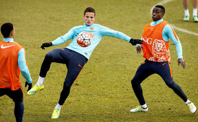 Ibrahim Afellay (4).jpg