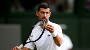 Novak Đoković - Jibing Vu1.jpg