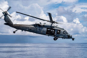 Sea Hawk helikopter (2).jpg
