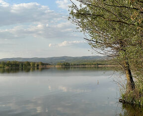 Pavlovačko jezero - hacijenda Novaka Đokovića (5).jpg