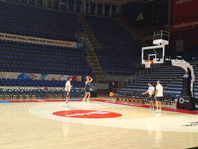 Trening reprezentacije Srbije pred Bosnu (14).jpg