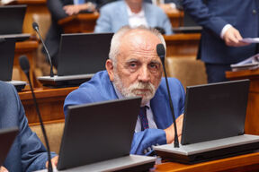 Vanredno zasedanje Skupštine (2).jpg