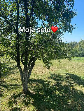 Pogledajte imanje Kaje Žutić na selu na kom muze koze