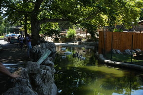 Devedeset godina zoo vrta (4).jpg